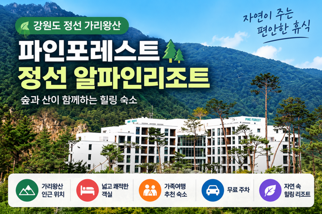 파인포레스트 정선 알파인리조트 숙소 사진